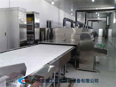 糕点微波杀菌设备