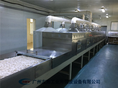 瓜子微波杀菌设备