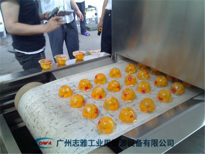果冻饮品微波杀菌设备