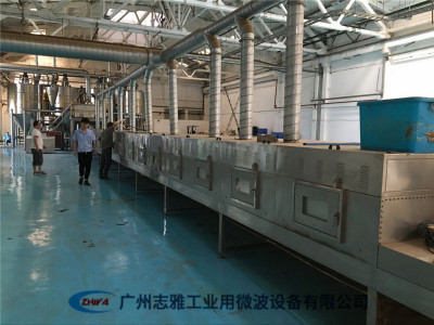 核桃干燥杀菌设备