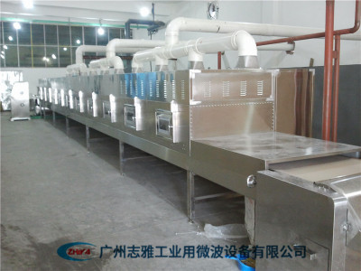 花生干燥杀菌设备