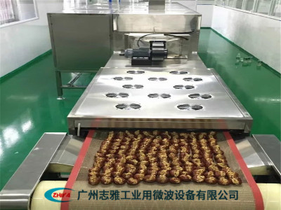 坚果干燥杀菌设备