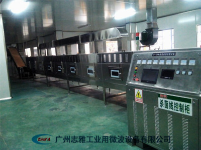 南瓜子蛋白微波杀菌设备