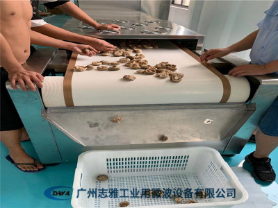 食用菌干燥杀菌设备