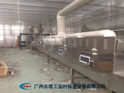 大麦微波烘焙设备