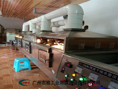 核桃仁微波烘烤机