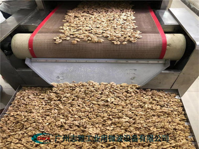  核桃微波烘烤设备