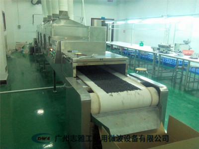 黑豆微波烘焙设备