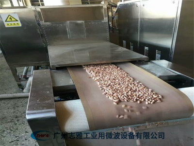 花生米微波烘烤机