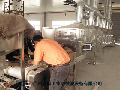 花生微波烘烤设备