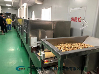 坚果微波烘烤设备