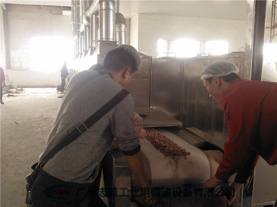 微波南乳花生烘烤设备