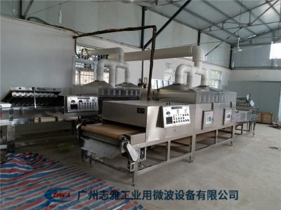 虫草烘干杀菌设备