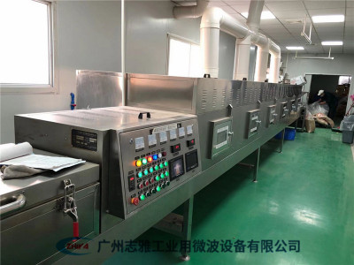中药材微波烘干设备