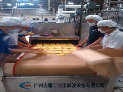 方便面微波膨化设备