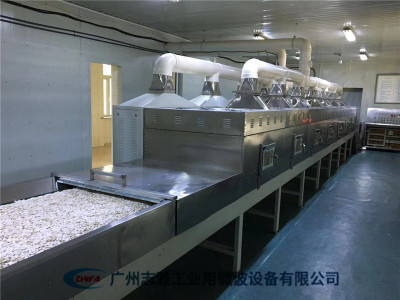 食品微波膨化机