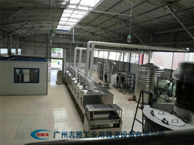 玉米颗粒微波膨化机