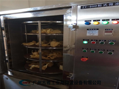 猪皮微波膨化设备