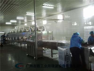  食用菌微波灭菌设备