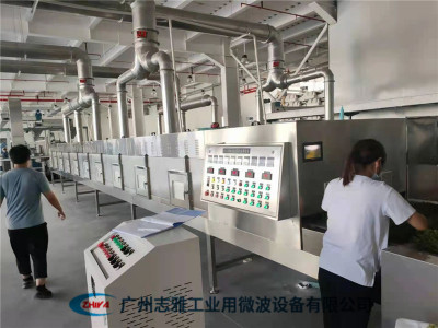 毛尖微波杀青机