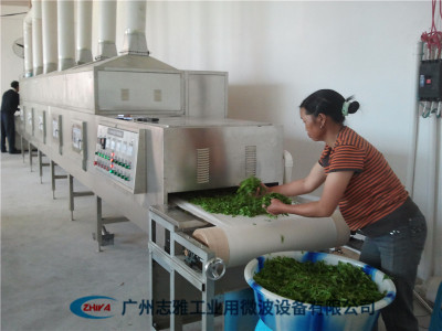 蒙顶茶微波杀青机