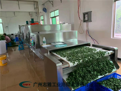 桑叶微波杀青机