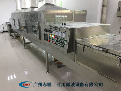 磷酸铁锂微波干燥设备