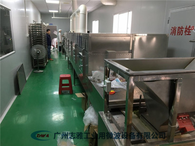  正极材料微波干燥设备