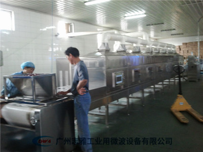  纳米粉体微波烘干设备