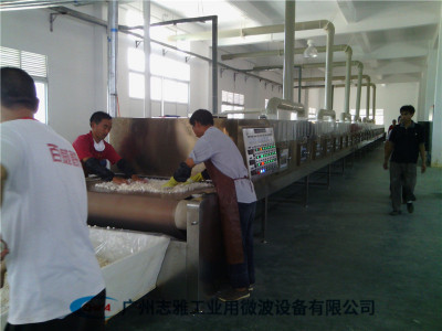 碳酸镧干燥设备