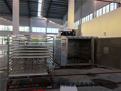 乳胶微波熟化机