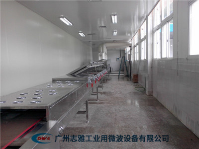  微波橡胶制品硫化设备