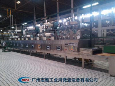 橡胶微波干燥设备
