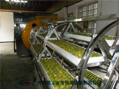  罗汉果真空低温烘干机