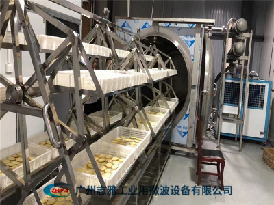 苹果片微波干燥设备