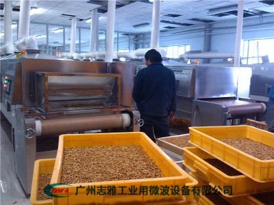 黄粉虫微波干燥设备