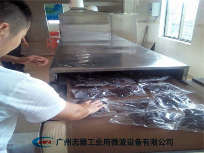 冻牛肉微波解冻机