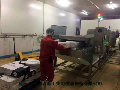 冻肉微波解冻设备