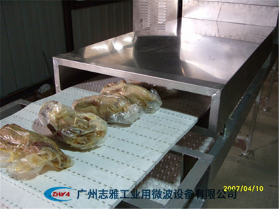 冻鸭肉微波解冻机