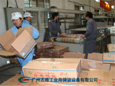 冻猪肉微波解冻机